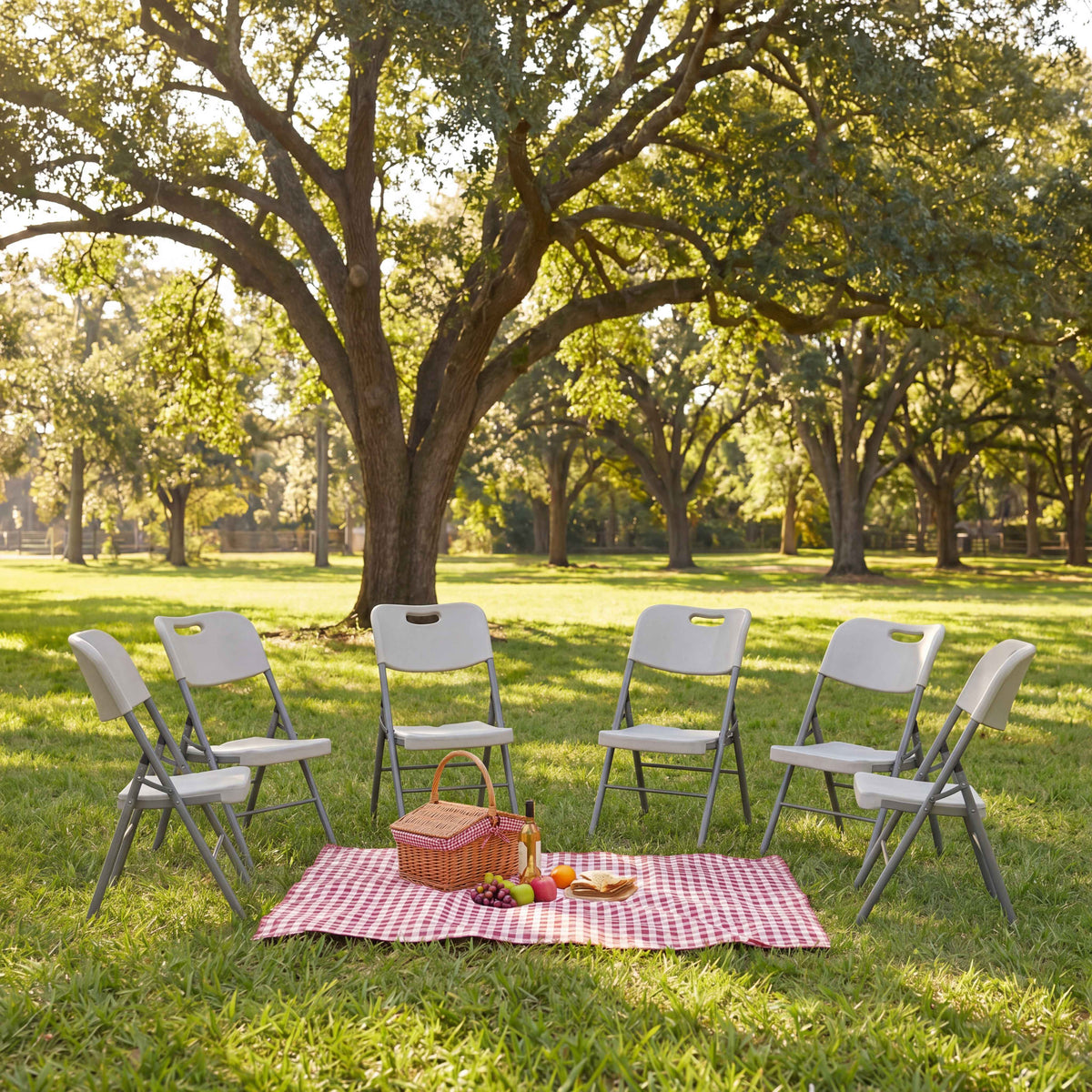 Folding Chair - Set of 6