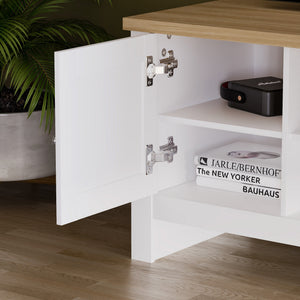 Arlington 1-Door TV Unit - White
