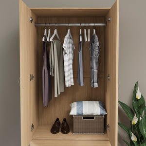 Riano 2 Door 2 Drawer Wardrobe for Bedroom Storage - Pine