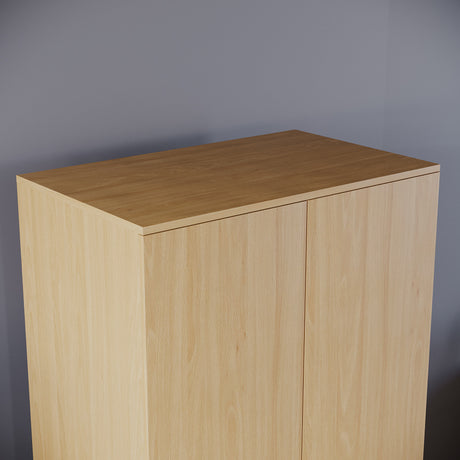 Riano 2 Door Wardrobe for Bedroom Storage - Pine
