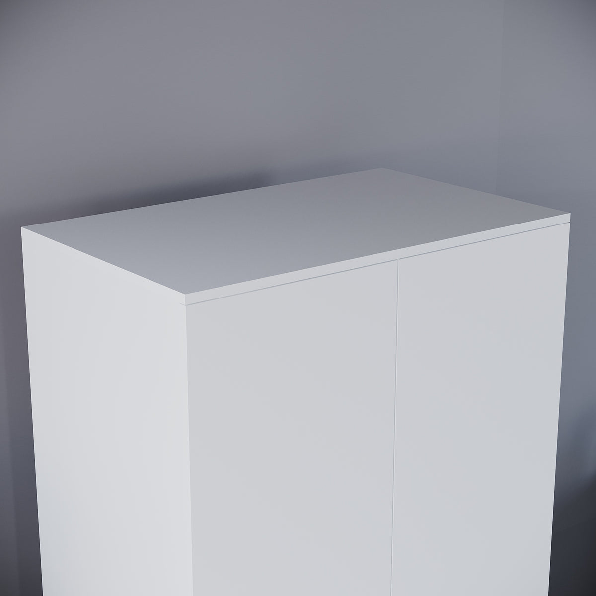 Riano 2 Door Wardrobe for Bedroom Storage- white
