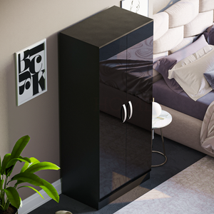 Hulio 2-Door Wardrobe - Black